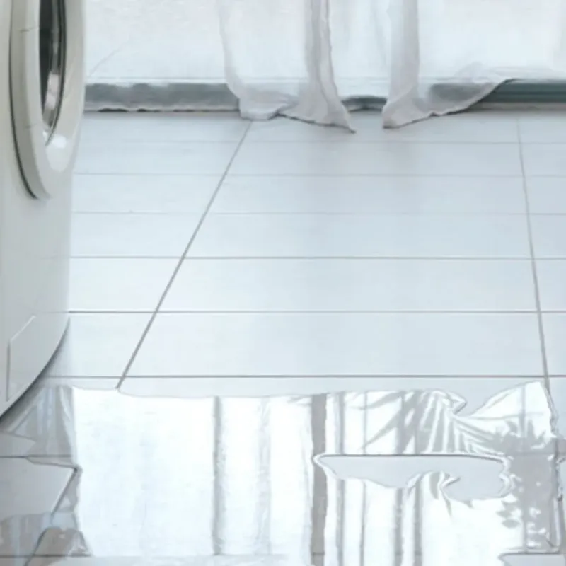 Appliance Leak Cleanup in Marshall, NC