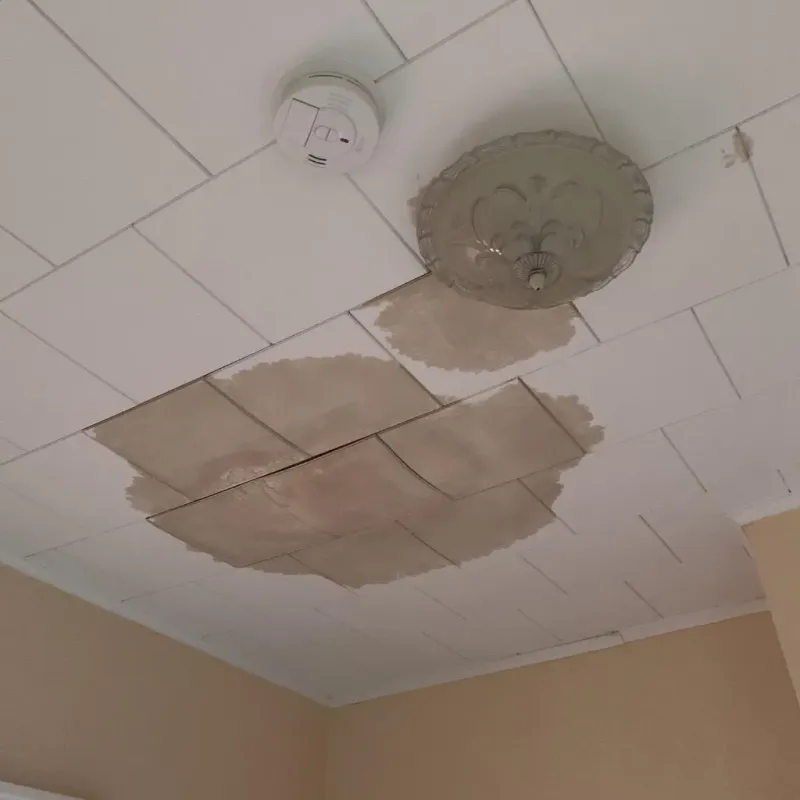 Ceiling Water Damage Repair in Marshall, NC