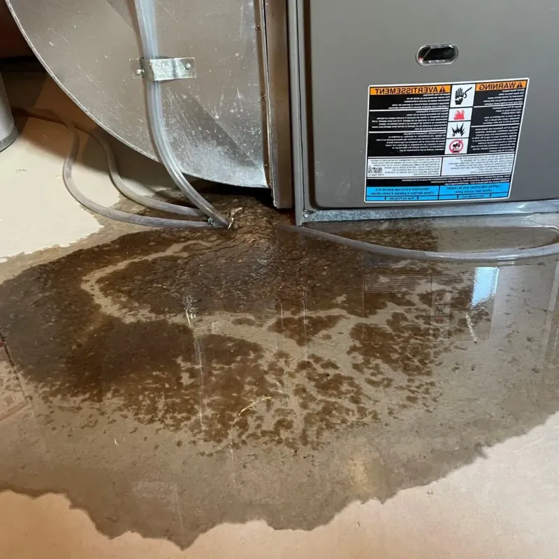 Pipe Burst and Leak Restoration in Marshall, NC