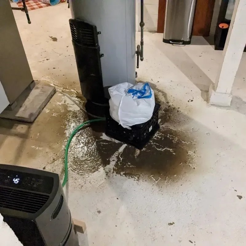 Sewage Backup Cleanup Service in Marshall, NC